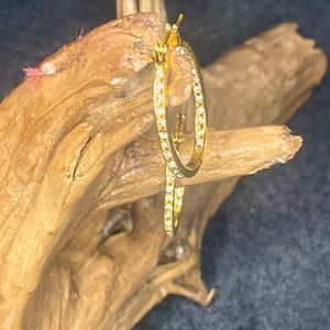🍄2/$25.00🍄 Gold Filled CZ Hoop Earrings    NWT